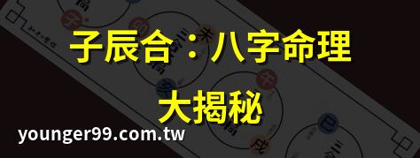 子辰合