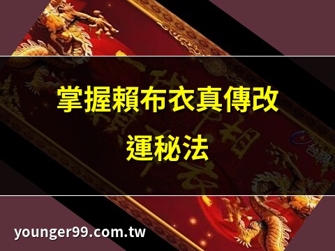 賴布衣真傳