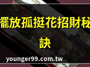 孤挺花風水