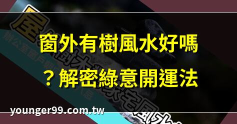 窗外有樹風水