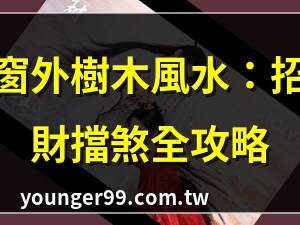窗外有樹風水