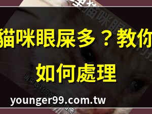 貓多眼屎
