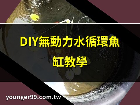 無動力水循環魚缸